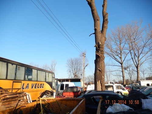 Bonus dla miasta za skuteczne usuwanie porzuconych pojazd&oacute;w