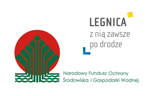 Bonus dla miasta za skuteczne usuwanie porzuconych pojazd&oacute;w