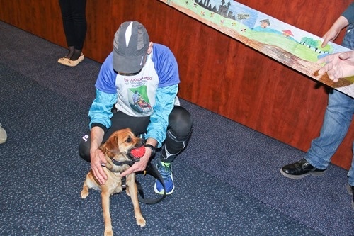 Dookoła Polski z psem Dino  6