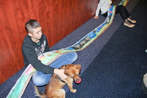 Dookoła Polski z psem Dino  10