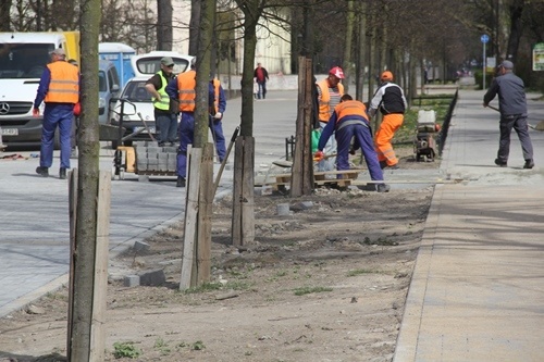 Park pięknieje na wiosnę 8