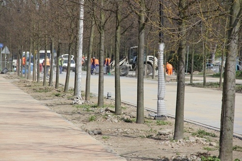 Park pięknieje na wiosnę 9