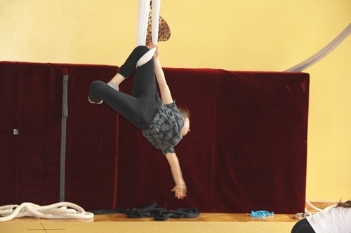 Ocelot pr&oacute;ba 3