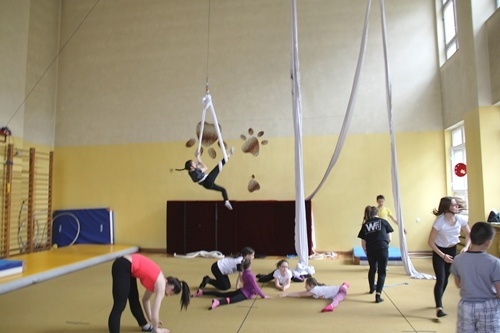 Ocelot pr&oacute;ba 15