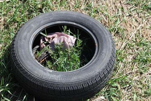 Miasto jest jak mieszkanie, zawsze trzeba je sprzątać 10