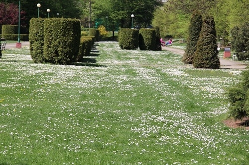 Park gotowy na otwarcie sezonu 6