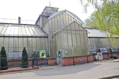 Cantat z palmami i papugami 1