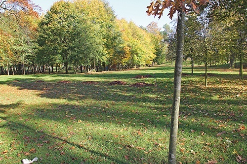 Trwa realizacja zadań LBO 7