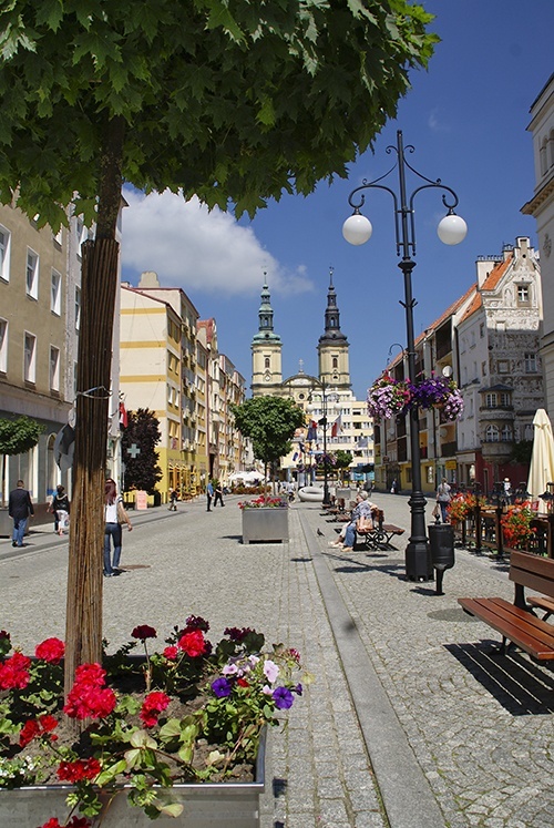 Już za parę dni wielkie ukwiecanie Legnicy 7