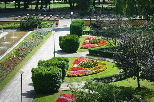 Już za parę dni wielkie ukwiecanie Legnicy 3