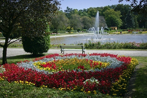 Już za parę dni wielkie ukwiecanie Legnicy 4