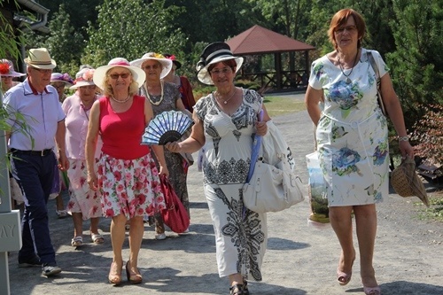 Senioralne lato w legnickim parku 3