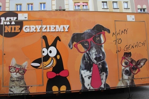 Zwierzęta wymagają odpowiedzialnej opieki 3
