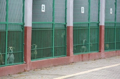 schronisko wymiana dach&oacute;w