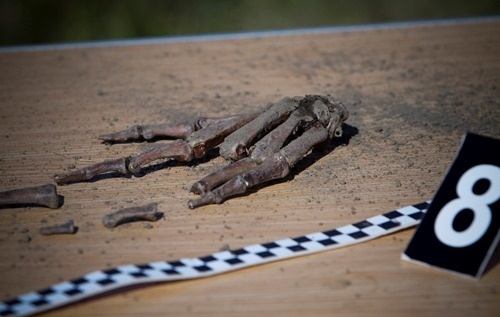 Filmowcy poszukują statyst&oacute;w z Legnicy 1