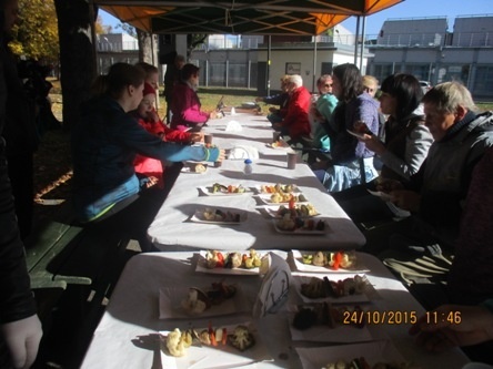 nordic walking park osir