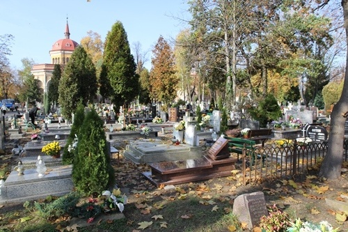 Legnickie nekropolie 5