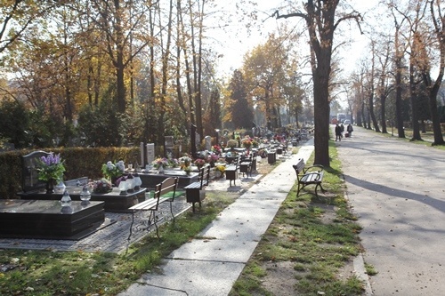 Legnickie nekropolie 7