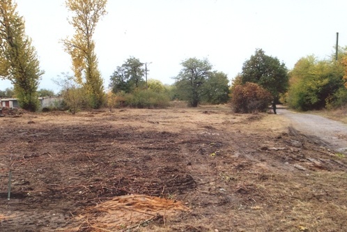 dzikie wysypiska koszmar