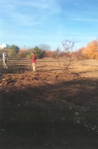 dzikie wysypiska koszmar