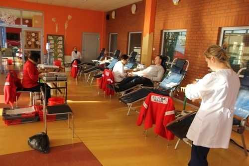 turniej mikolajkowy juniorow