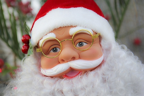 Świąteczny nastr&oacute;j w palmiarni 7