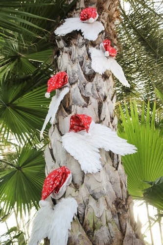 Świąteczny nastr&oacute;j w palmiarni 2