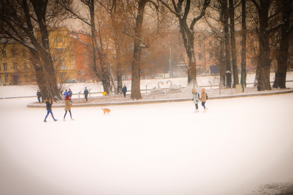 Legnica zimą zachwyca 13