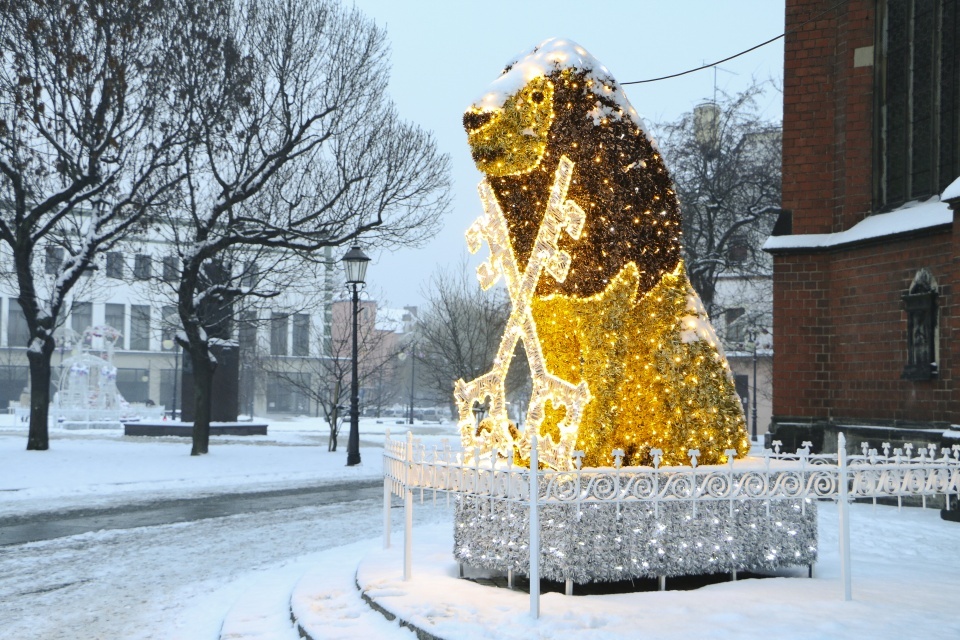 iluminacje Legnica 2015 2016 2