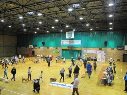 wystaw zwierząt w hali osir wystaw zwierząt w hali osir