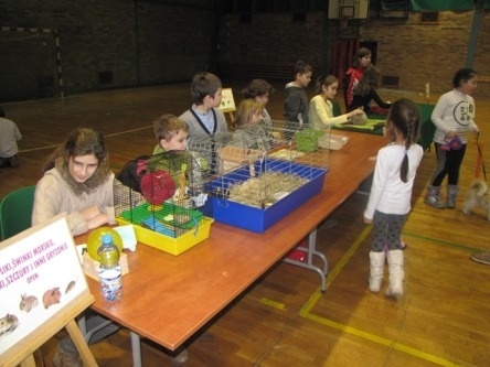 wystaw zwierząt w hali osir wystaw zwierząt w hali osir