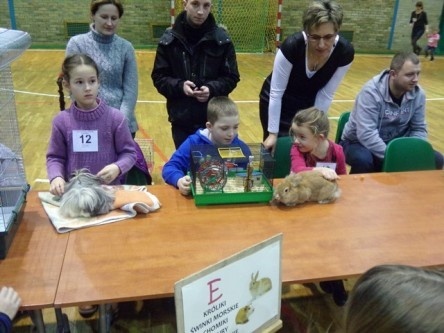 wystawa zwierzatek w hali osir