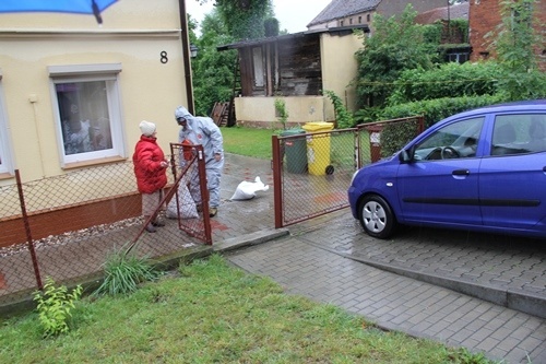 ulewa nad legnica