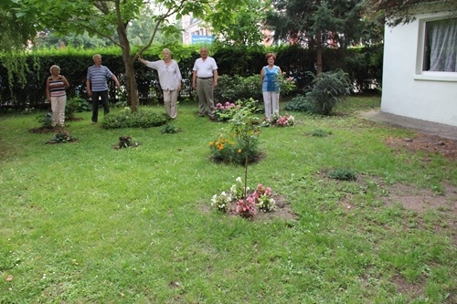 senioralna grupa pomocowa