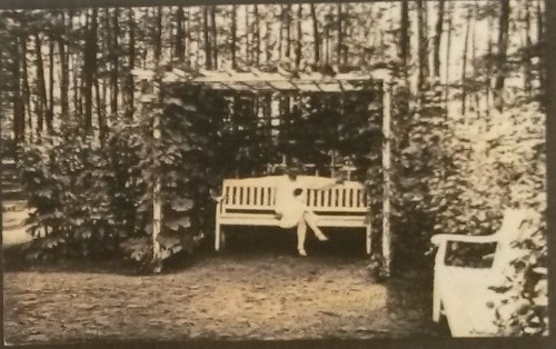 rewitalizacja parku Miejskiego rewitalizacja parku Miejskiego