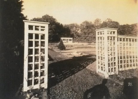 rewitalizacja parku Miejskiego rewitalizacja parku Miejskiego