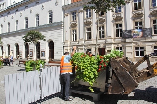 ozdobna skrzynia na klony