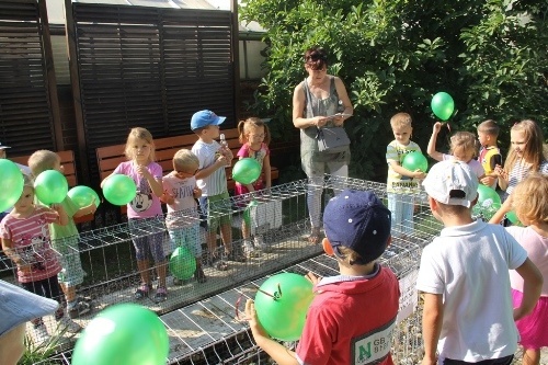 Drugie urodziny mini-zoo 1