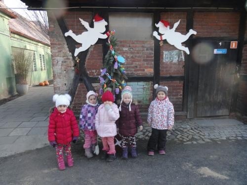 choinki w mini zoo