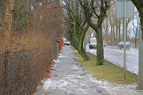 chodniki 1